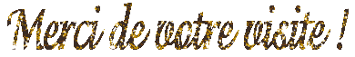 m d v v